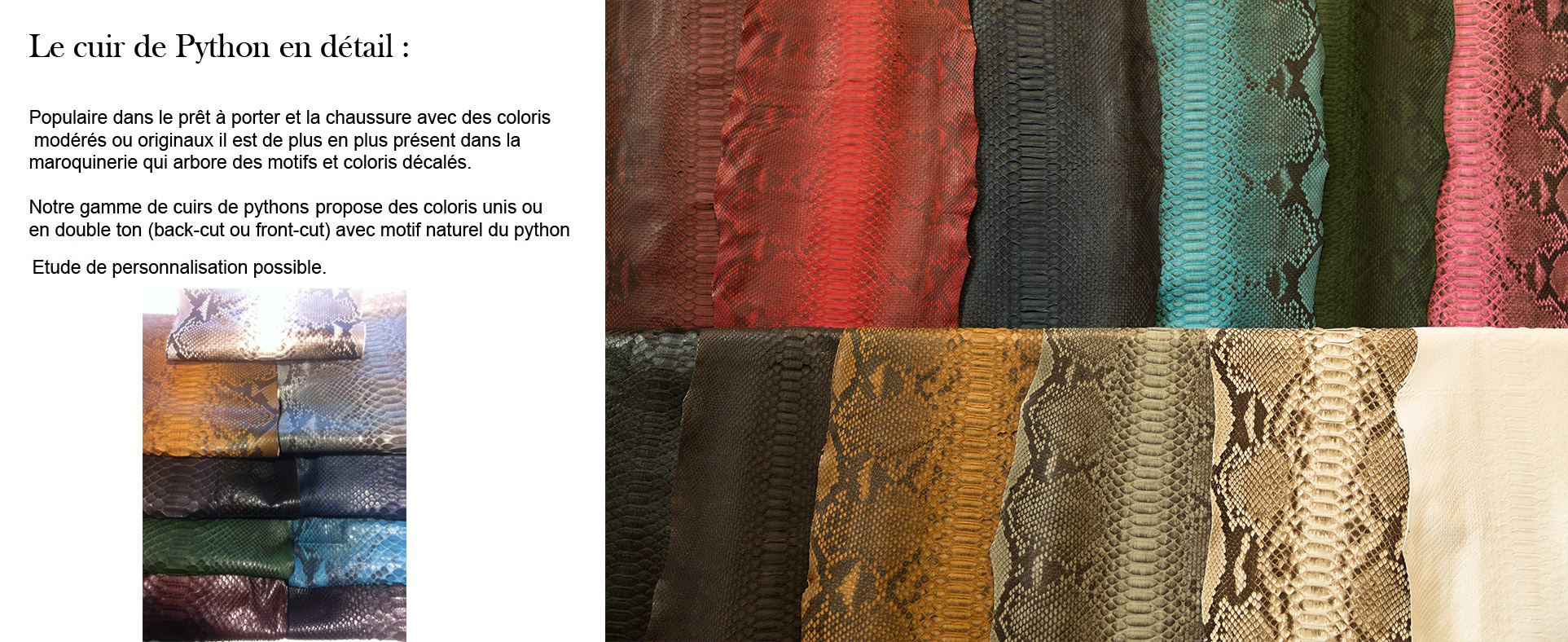 Exotic leathers: crocodile, reptile, fish leather